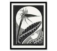 Artery8 Samuel J De Mesquita Strelitzia Overblown And Full Moon Framed Wall Art Print Home Décor A3