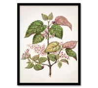 Artery8 Sarah Featon New Zealand Makomako Flowering Plant Framed Wall Art Print Home Décor A3