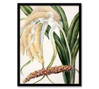 Artery8 Sarah Featon New Zealand Perching Lily Flower Plant Framed Wall Art Print Home Décor A4
