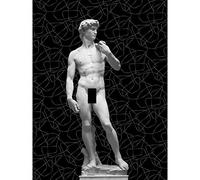 Artery8 Statue of David by Michelangelo Classic with Abstract Art Black Extra Large XL Wall Art Poster Print Statua Classico Astratto Parete Stampa poster