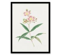 Artery8 Vintage Japanese Botanical Red White Blossoms Framed Wall Art Print Home Décor A3