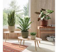 Artevasi Vaso per Piante Miami 16cm Verde Grigio - Design Elegante con Finitura Opaca - Vaso Decorativo in plastica Riciclata, Ideale per Ambienti Moderni