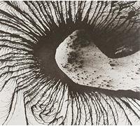 Arthur, Joseph - Let's Just Be