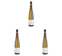 Arthur Metz - Grand Cru Steinklotz Riesling - Vino bianco Alsace, sec (1 x 0,75 l) (Confezione da 3)
