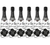 Arthur Metz - Vino Spumante Crémant d'Alsace, Francia (6 x 0.75 L)