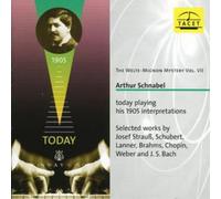 Arthur Schnabel Welte-mignon Mystery Vol. Vii, The (Schnabel) (CD) Album
