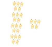 Artibetter 5 Set Ciondoli Denti Per Gioielli Fai Da Te Pendenti Creativi Per Braccialetti E Collane Design E Per Accessori Personalizzati 5 Pezzi*5