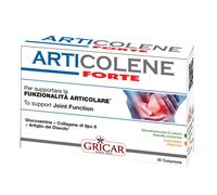 ARTICOLENE Fte Int.60 Tav.