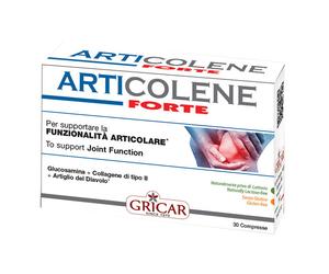 ARTICOLENE Fte Int.60 Tav.