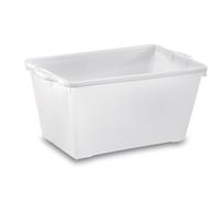 Articolo non disponibile