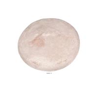 Artif-déco-mag.com - Tomme artificiale formaggio in plastica soffiata D 370x100 mm