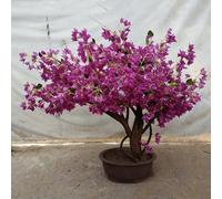 Artificial Bougainvillea Tree with Wooden Base - Realistic Silk Petals, Sturdy Trunk, Patio, Living Room & Commercial Spaces(2.5mx2m)