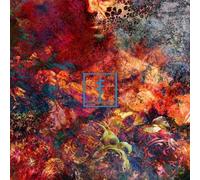 Frail Body - Artificial Bouquet - AA.VV. (Audio Cd)