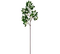 Artificial Branches Artificial Greenery Olive Branches for Vaso Filler Decorative Dried Artificial Twigs Bendable Sticks for Shop Garden Home Immagini piante vere (verde, 58 x 6)