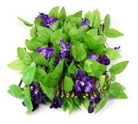 Artificial Hedge Fence | Expandable Faux Green Privacy Screen Silk Leaf Wood Lattice Adjustable 40cm-70cm Height Up to Width Balcony Wall Stair Railing Decoration Backdrop Garden Indoor Outdoor Dec