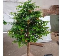 Artificial Longan Tree Adding Tropical Charm to Modern Interiors & Lobbies Realistic Fruits & Durable Construction(1M)
