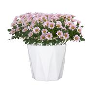 Artificial Mums, Artificial Outdoor Sunset Mums Flowers - UV Resistant, Waterproof, Windproof, Faded, No Watering, Pruning, Outdoor Decor for Outside Home Indoor Planter (scarlet,5PCS)