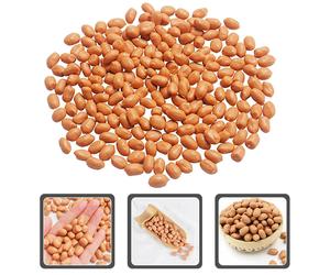 Artificial Peanut Kernels Snack Food Oggetti Di Scena Cibo Finto