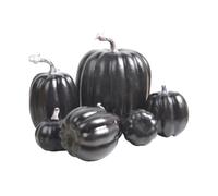 Artificial Pumpkins 7 Piece Extensive Halloween Realistic Artificial Foam