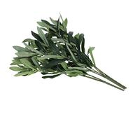 Artificiale Foglie Di Olivo, Simulazione Foglie D'Olivo, Riempitore di Vaso Falso Pianta Foglia Di Ulivo Ramo Decorazione Fiore Disposizione Fotografia Prop per Matrimonio