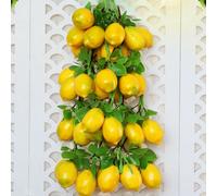 Artificiale Limone Ramo Base Realistico Frutta Piante Finto Casa Giardino Arredo