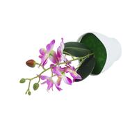 Artificiale Orchidea Pianta IN Un Pentola Fiori Vaso Piccolo Indoor Ufficio Casa