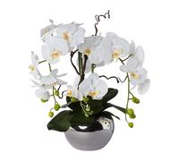 Artificiale Orchidea Reale Toccare H.46cm Bianco A Argento Vaso Ceramica GASPER