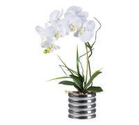 Artificiale Orchidea Reale Toccare H.53cm Bianco A Argento Vaso Ceramica GASPER