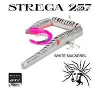 ARTIFICIALE SPINNING SEASPIN STREGA 257 AGUGLIA SNODATO ESCA JOINTED SERRA BARRA