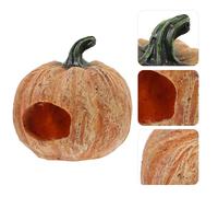 Artificiale Zucca Grotta Rettile Nascondiglio Luogo Rettile Serbatoio Piccola