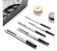 ARTIFY - Set di pennelli asciutti professionali per pittura su miniatura e modellismo, 5 misure, hobby e dettagli, miniature da tavolo e giochi di guerra, multicolore