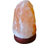 Artigianato Lampada di Sale USB dell'Himalaya Multicolor Naturale