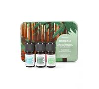 Artigiano Nasoterapia Cofanetto con Oli Essenziali Giardini Boreali - Abete Siberiano, Eucalipto Globulus, Pino Mugo - 15 ml