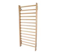 ARTIMEX spalliera Svedese per scoliosi - Strumento per Terapia Fisica e Ginnastica - in Legno di faggio, 200x90 cm, codice 253-REHA-Faggio