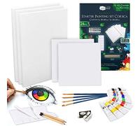Artina Corsica Kit Pittura 24pcs - Set Pittura Acrilico con 8 x 12 ml Colori Acrilici, Tela 30 x 40 cm e 20 x 20 cm, Pennelli e Altro - Set Artista per Principianti e Artisti Amatoriali