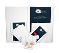 Artina Set da 14 Tele per Pittura 50x70cm - 30x40cm - 24x30cm - 13x18cm Serie Akademie - 100% Cotone Bianco 280g/m² - Tela Pittura con Telaio in Legno Certificato FSC®