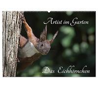 Artist im Garten. Das Eichhörnchen (Wandkalender 2026 DIN A2 quer), CALVENDO Monatskalender: Ein gern gesehener Gast im Garten