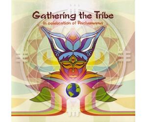 Artisti Vari - Gathering The Tribe - Cd