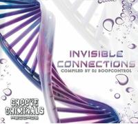 Artisti Vari - Invisible Connections - Cd
