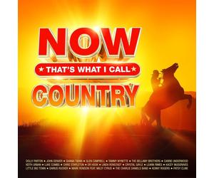 Artisti Vari - Now That's What I Call Country / Various - 4 Cd