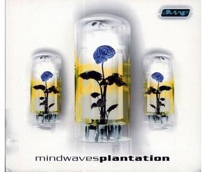Artisti Vari - Plantation - Cd