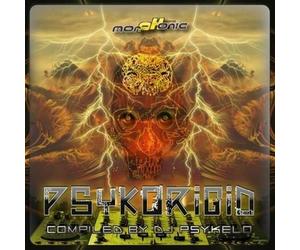 Artisti Vari - Psykorigid: Compiled By Dj Psykelo - Cd