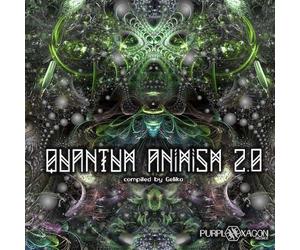 Artisti Vari - Quantum Animism 2.0 - Cd