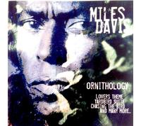 Artisti Vari - Rock City Nights - Cd