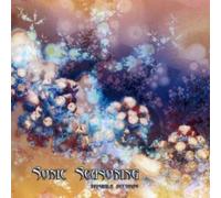 Artisti Vari - Sonic Seasoning - Cd