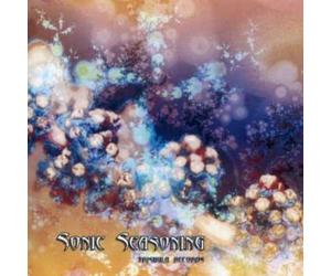 Artisti Vari - Sonic Seasoning - Cd