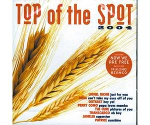 Artisti Vari - Top Of The Spot 2004 - Cd