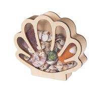 Artistic Decor Highlight: This seashell display case serves as a functional decor piece, enriching living rooms and studies alike, providing versatile placement options to complement various interiors