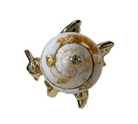 Artistico regolabile Creatura del Mare Anelli con Stelle Marine e Shell Dettaglio Moda Finger Accessori Shell Echinoderm Hoop, One Size, come descritto, come descritto
