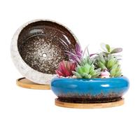 ARTKETTY 2 Pack di vasi per piante grasse, grandi vasi per piante di cactus con vassoio di drenaggio, vaso bonsai in ceramica per interni per il giardino e la casa